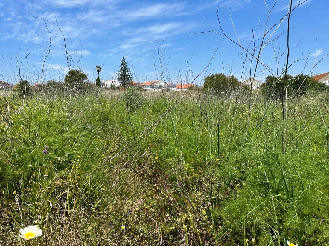 Land in Charneca de Caparica e Sobreda, Setubal, Portugal 3 - 15703500