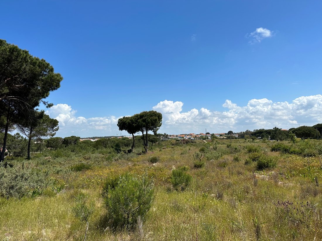 Land in Sesimbra (Castelo), Setubal, Portugal 4 - 15702200