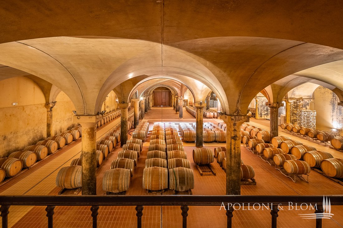 Maisons de campagne à Castellina in Chianti, Toscane, Italie 1 - 13635109