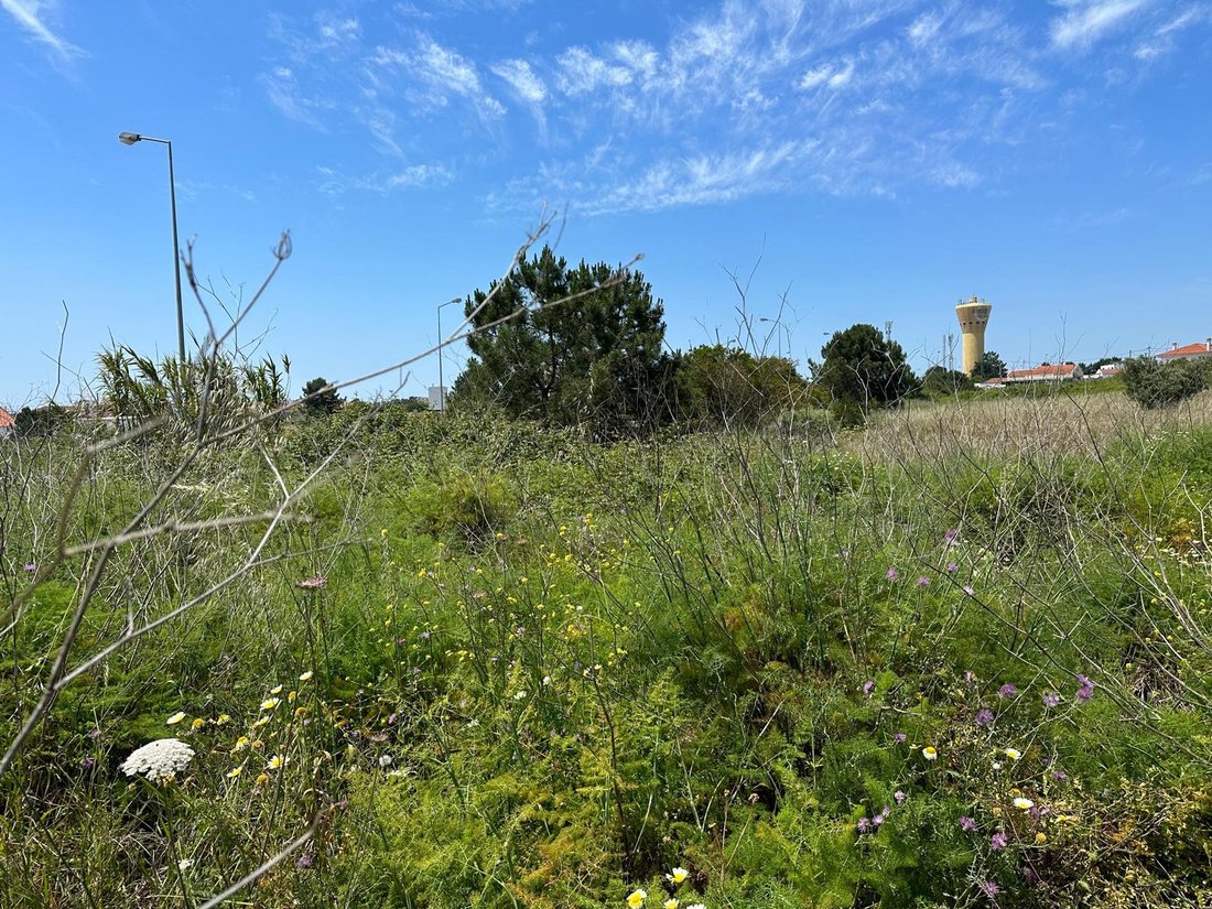 Land in Charneca de Caparica e Sobreda, Setubal, Portugal 2 - 15703500
