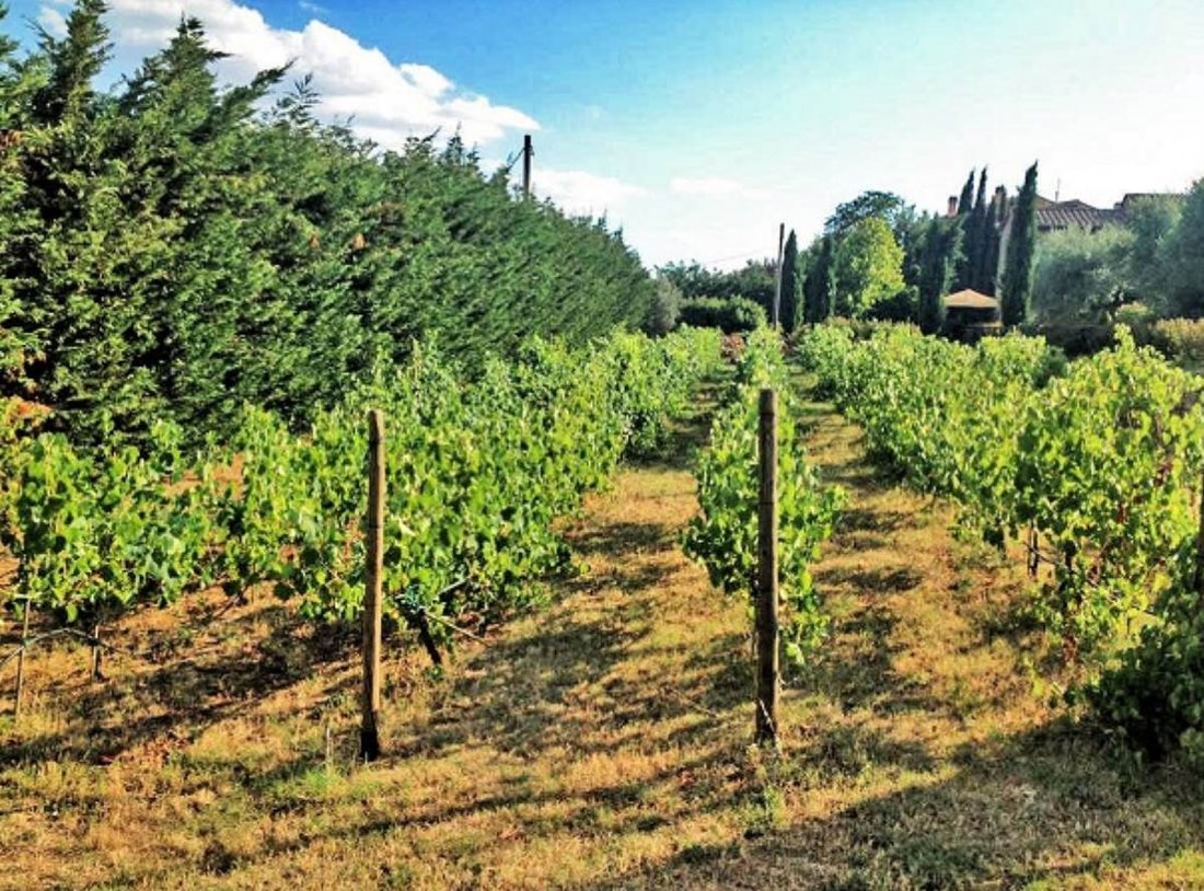 Cegliolo - Torreone - Portole, Cortona, Tuscany 4 - 15711054