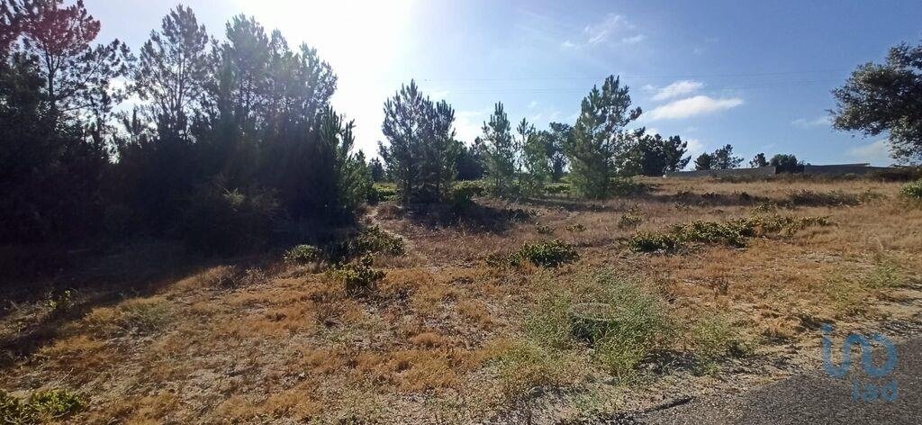 Land in Coruche, Fajarda e Erra, Santarem District, Portugal 4 - 15712986