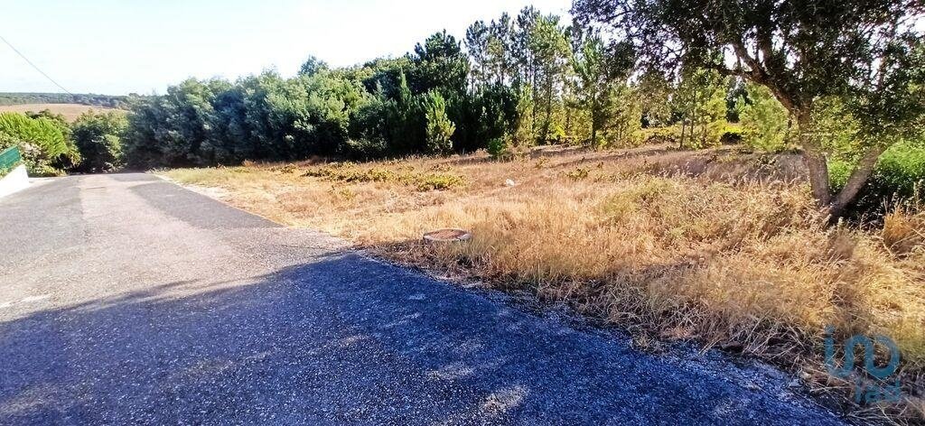 Land in Coruche, Fajarda e Erra, Santarem District, Portugal 2 - 15712859
