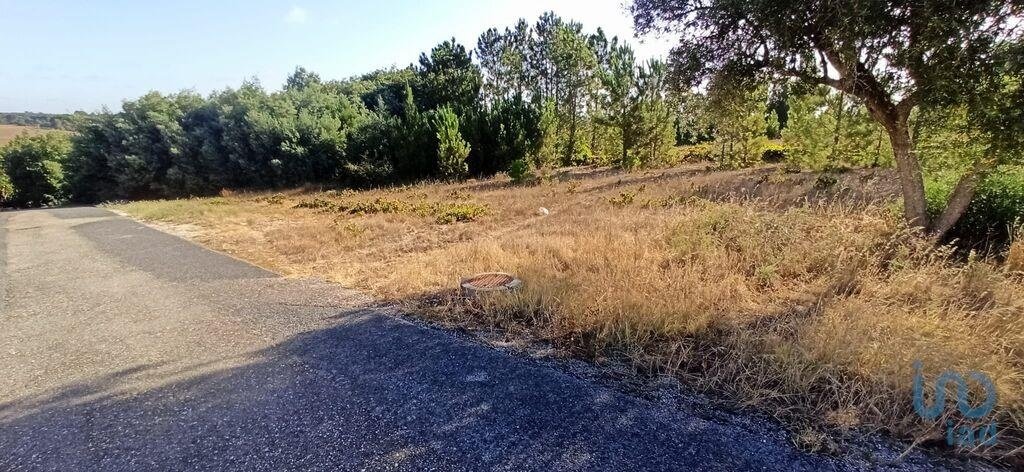 Land in Coruche, Fajarda e Erra, Santarem District, Portugal 3 - 15712859