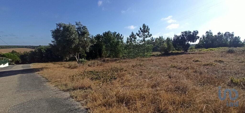 Land in Coruche, Fajarda e Erra, Santarem District, Portugal 5 - 15713043