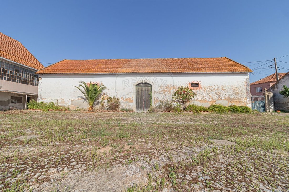 Farm Ranch in Vila Cha de Ourique, Santarem District, Portugal 2 - 15714400