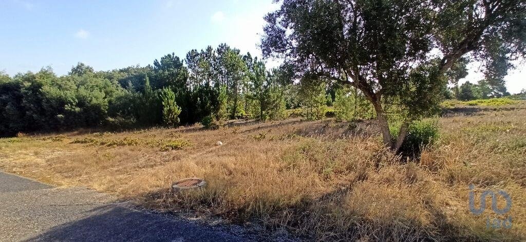 Land in Coruche, Fajarda e Erra, Santarem District, Portugal 4 - 15712859