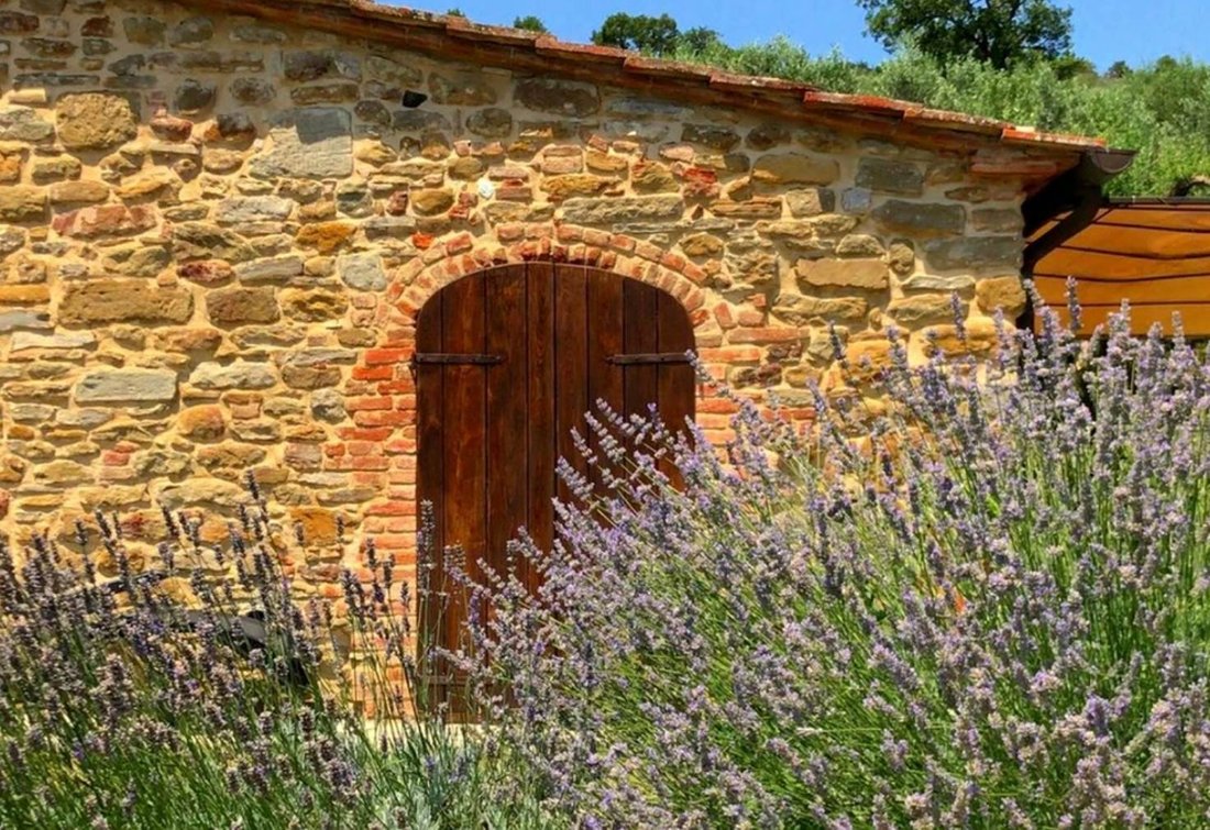 Cegliolo - Torreone - Portole, Cortona, Tuscany 5 - 15711054