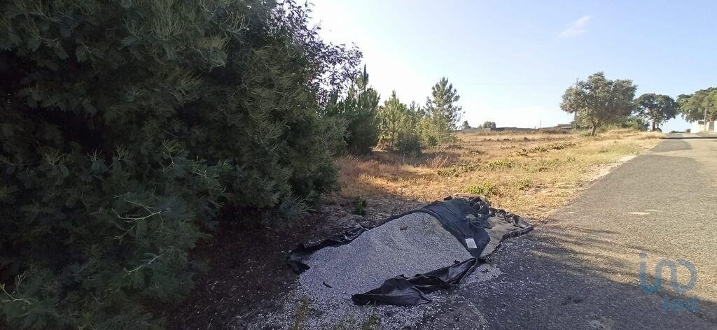 Land in Coruche, Fajarda e Erra, Santarem District, Portugal 5 - 15712986