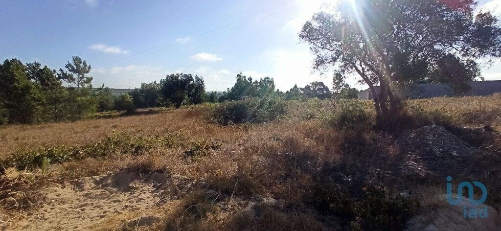 Land in Coruche, Fajarda e Erra, Santarem District, Portugal 4 - 15713043