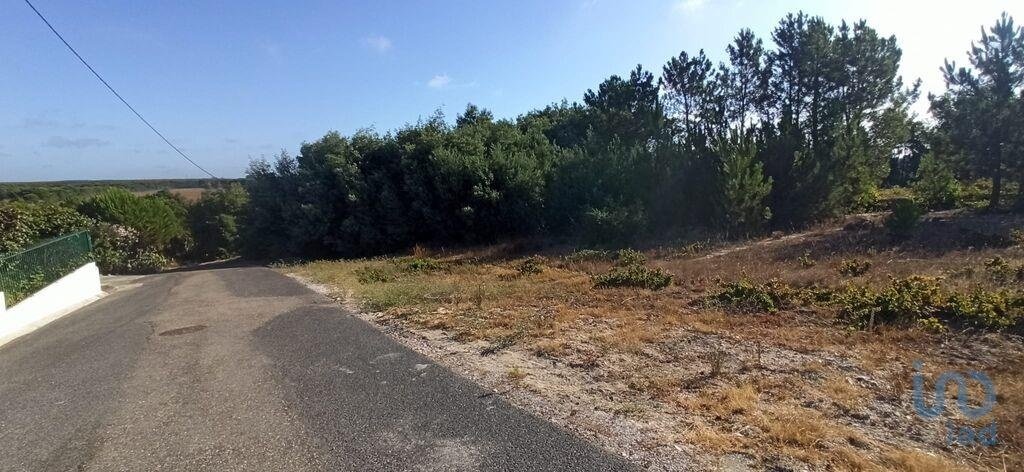 Land in Coruche, Fajarda e Erra, Santarem District, Portugal 2 - 15712986