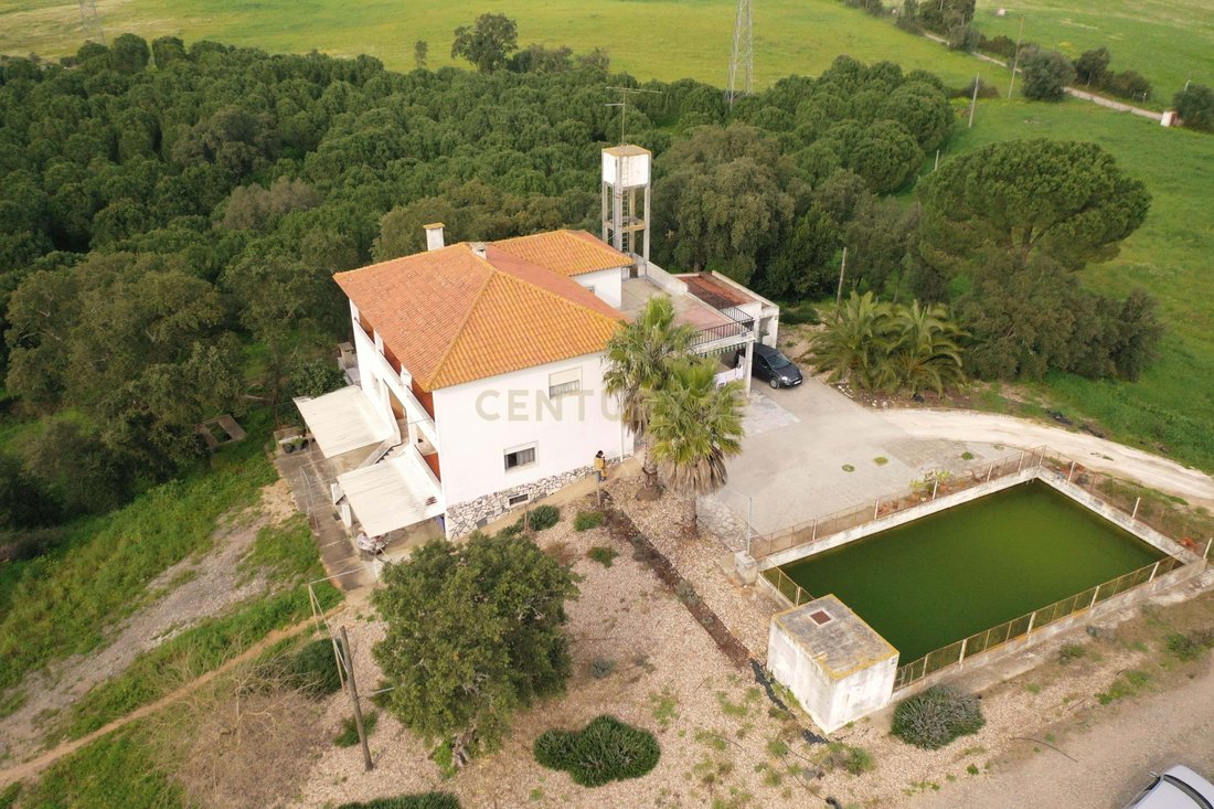 Farm Ranch in Cidade de Santarem, Santarem District, Portugal 3 - 13908117