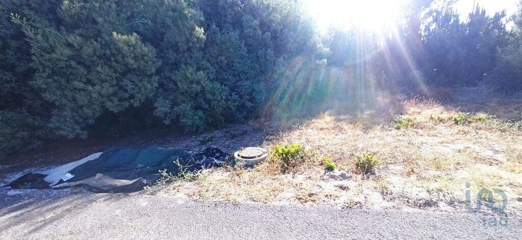 Land in Coruche, Fajarda e Erra, Santarem District, Portugal 1 - 15712986