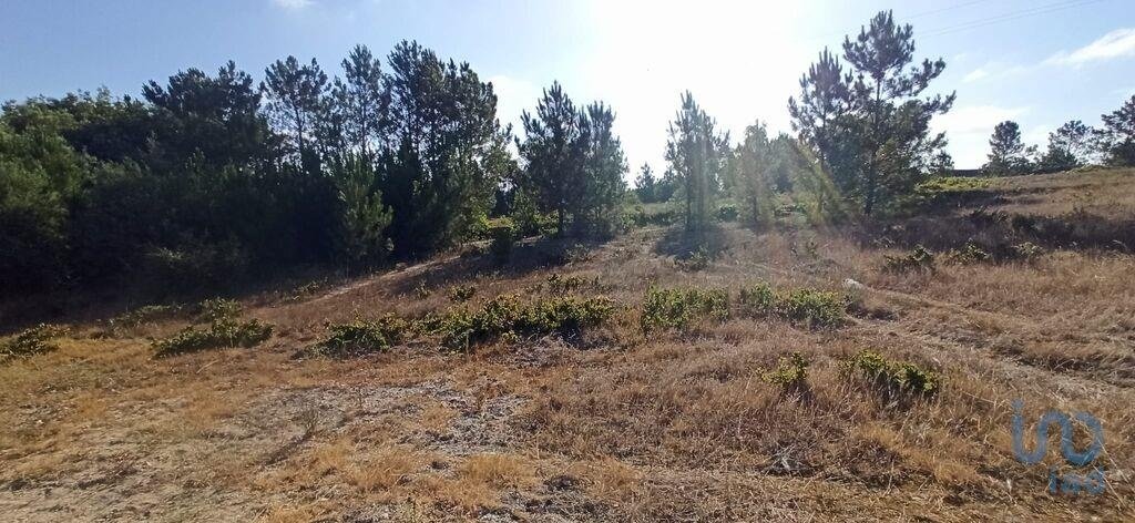 Land in Coruche, Fajarda e Erra, Santarem District, Portugal 5 - 15712859
