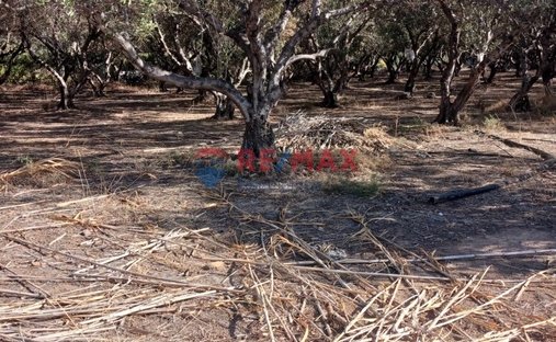 Land in Platanias, Greece 1