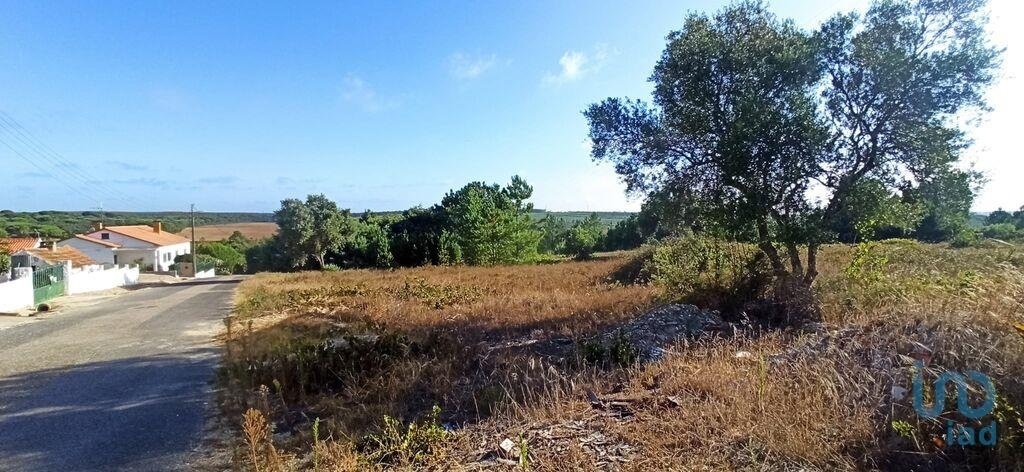 Land in Coruche, Fajarda e Erra, Santarem District, Portugal 3 - 15713043