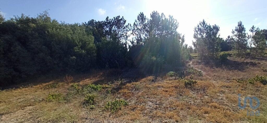 Land in Coruche, Fajarda e Erra, Santarem District, Portugal 3 - 15712986