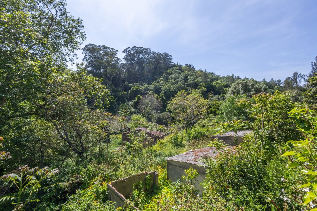Farm Ranch in Sintra, Lisbon, Portugal 5 - 15708549