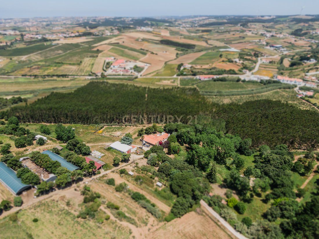 Farm Ranch in Lourinha e Atalaia, Lisbon, Portugal 1 - 15331965