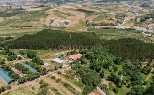 Farm Ranch in Lourinha e Atalaia, Lisbon, Portugal 1
