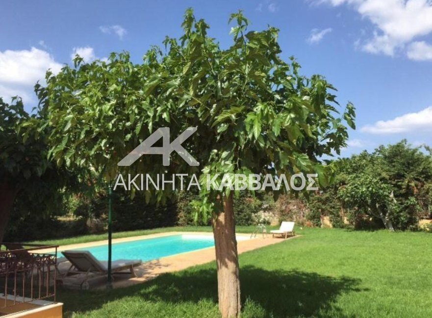 House in Palea Fokea, Attica, Greece 4 - 15708705