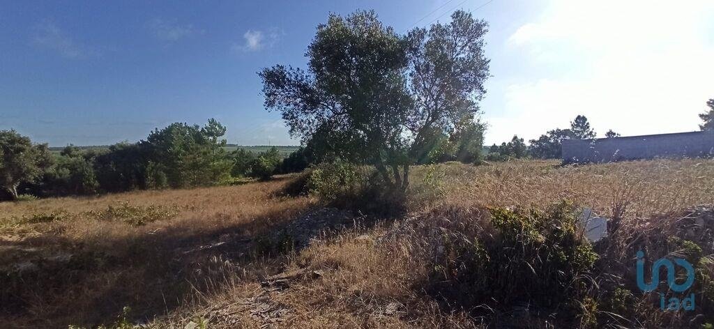 Land in Coruche, Fajarda e Erra, Santarem District, Portugal 2 - 15713043