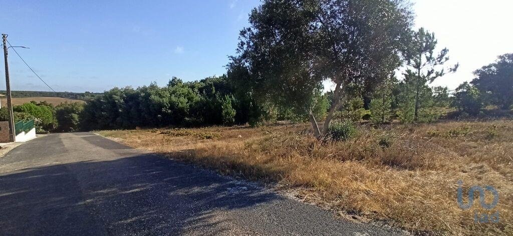 Land in Coruche, Fajarda e Erra, Santarem District, Portugal 1 - 15712859