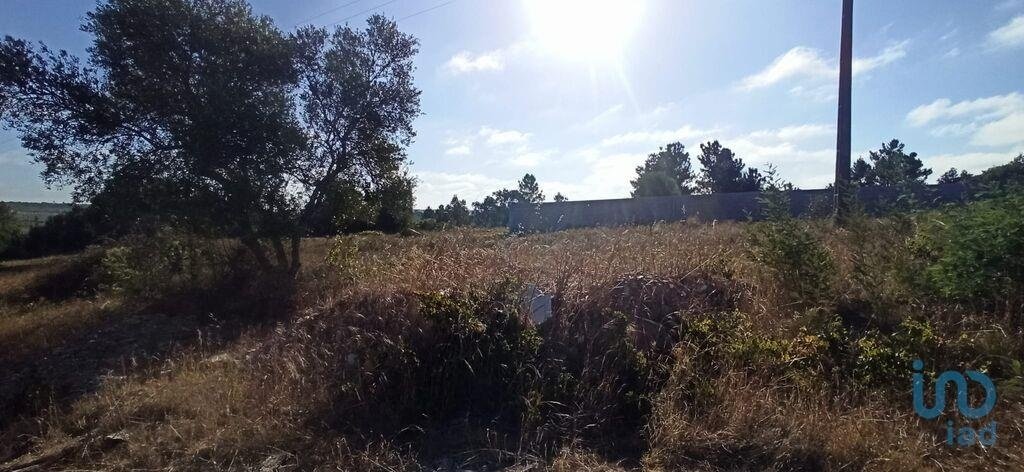 Land in Coruche, Fajarda e Erra, Santarem District, Portugal 1 - 15713043
