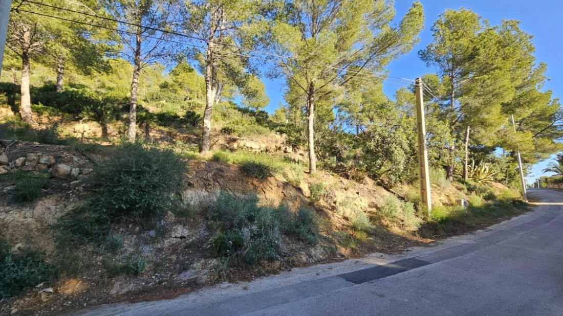 Land in Alcala de Xivert, Valencian Community, Spain 4 - 15709547