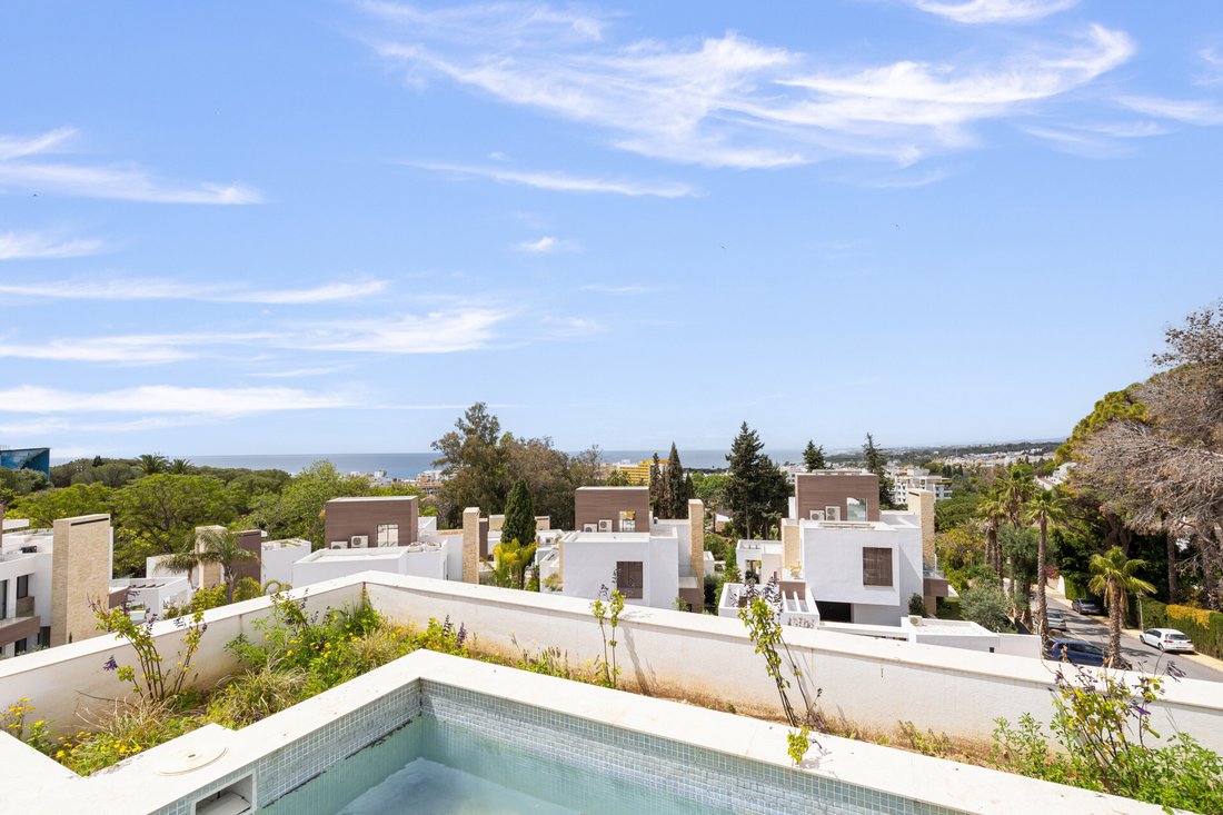 Villa in Golden Mile, Andalusia, Spain 5 - 15713055
