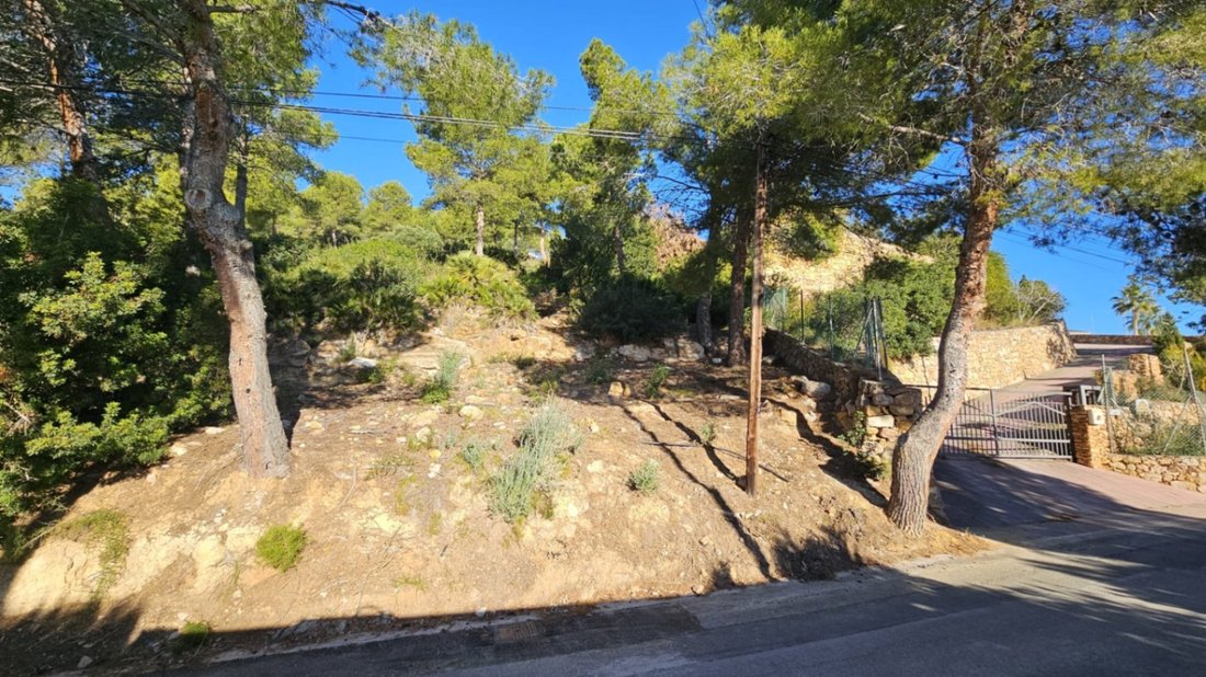 Land in Alcala de Xivert, Valencian Community, Spain 5 - 15709547