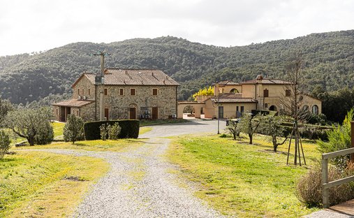 Estate in Riparbella, Tuscany, Italy 1