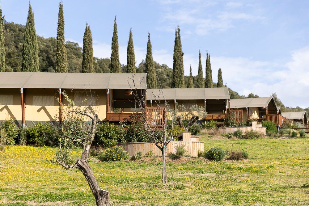 Estate in Riparbella, Tuscany, Italy 2 - 15714921