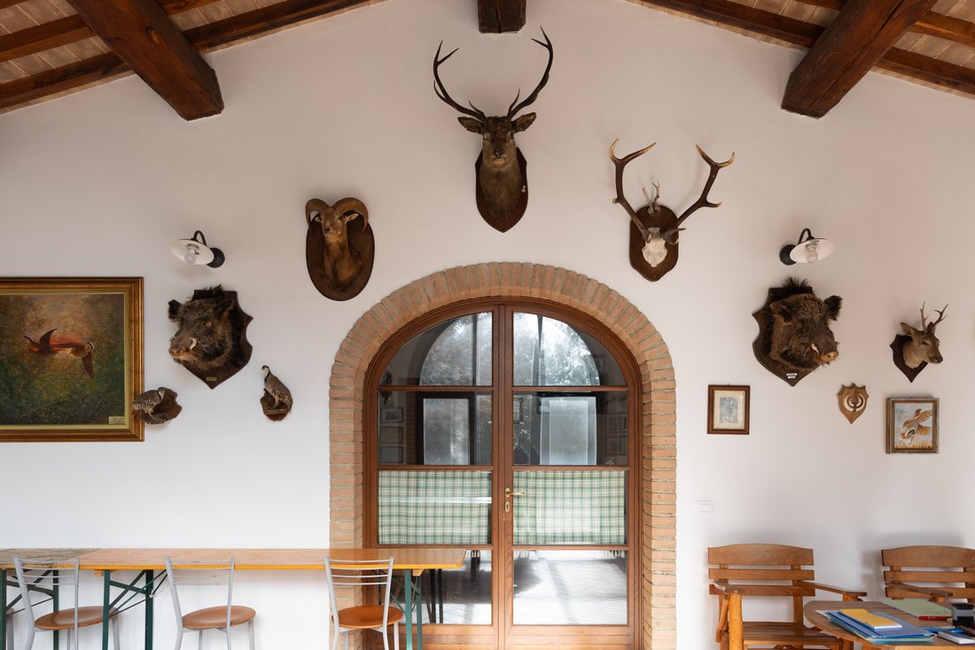 Estate in Riparbella, Tuscany, Italy 5 - 15714921