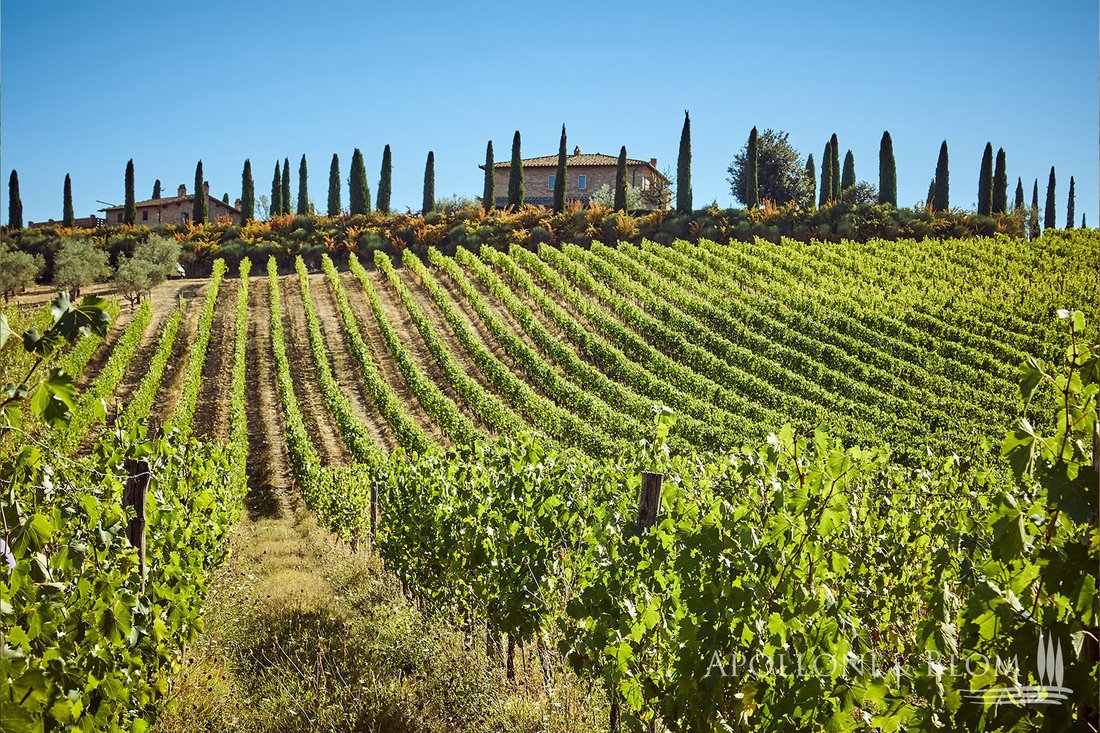 Domaine à Montepulciano, Toscane, Italie 1 - 15714685