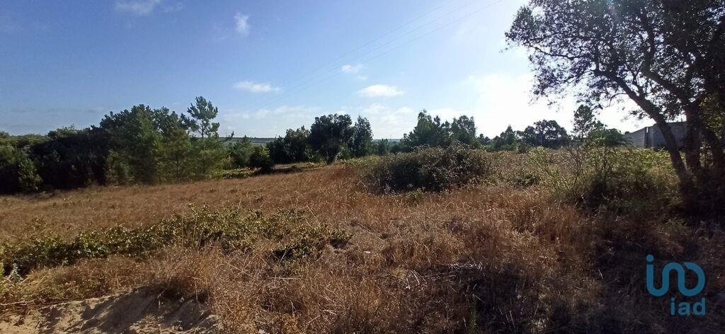 Land in Coruche, Fajarda e Erra, Santarem District, Portugal 1 - 15718024