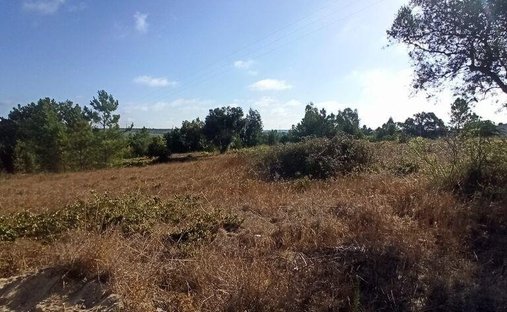 Land in Coruche, Fajarda e Erra, Santarem District, Portugal 1