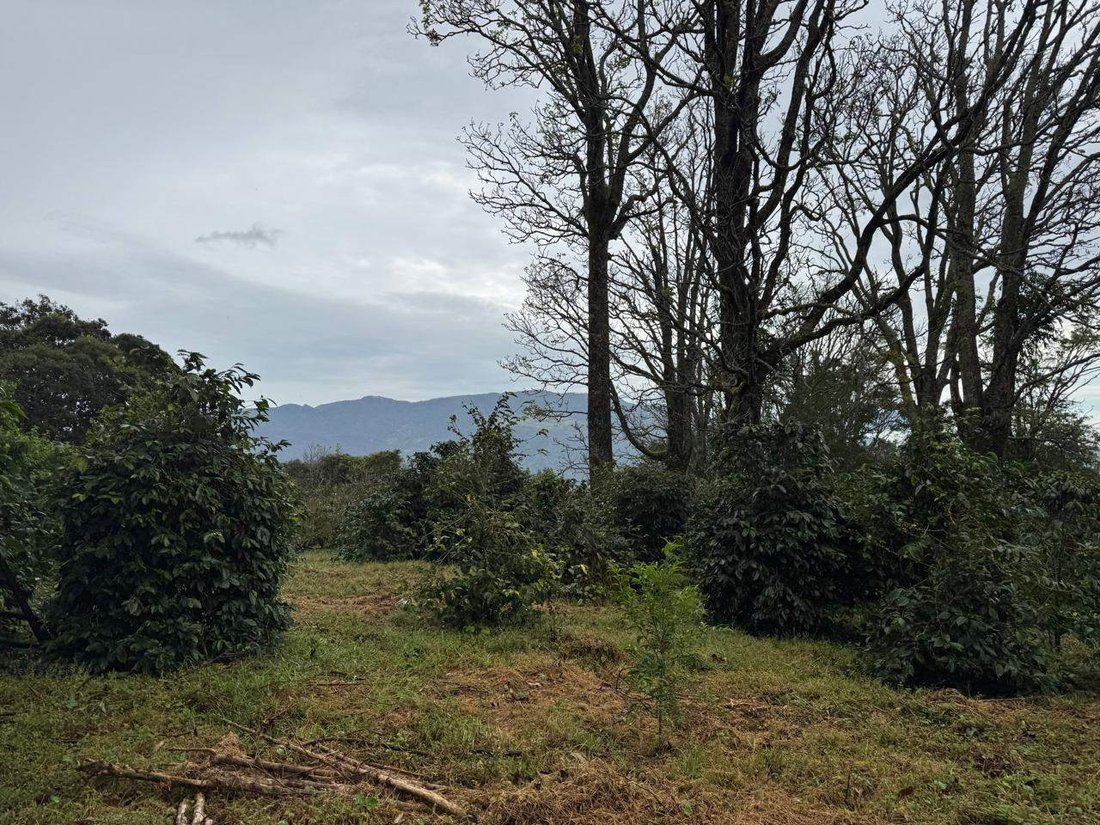 Land in Los Naranjos, Chiriquí Province, Panama 4 - 15720498