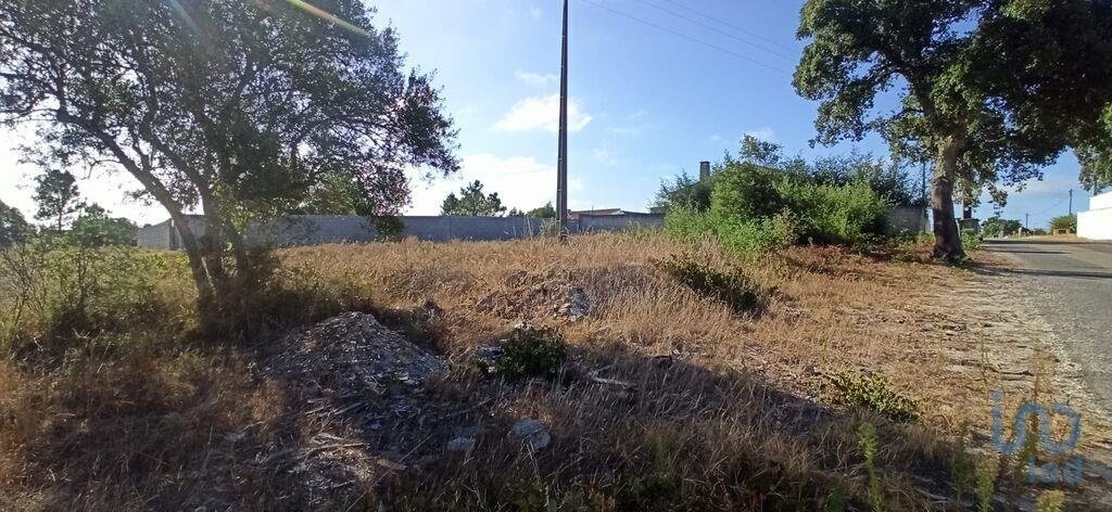 Land in Coruche, Fajarda e Erra, Santarem District, Portugal 2 - 15718024