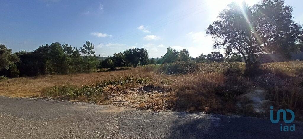 Land in Coruche, Fajarda e Erra, Santarem District, Portugal 3 - 15718024