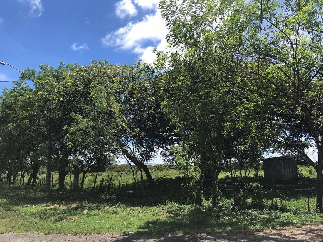 Land in Penonome, Coclé Province, Panama 4 - 15720490