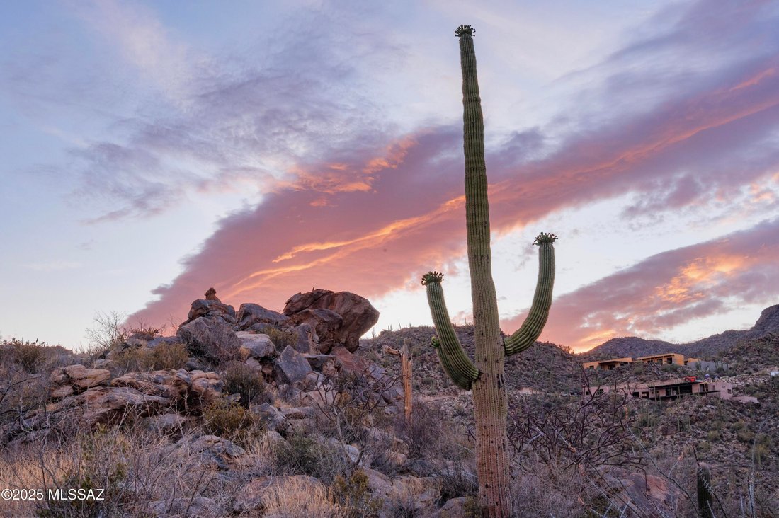 House in Marana, Arizona, United States 3 - 15720329