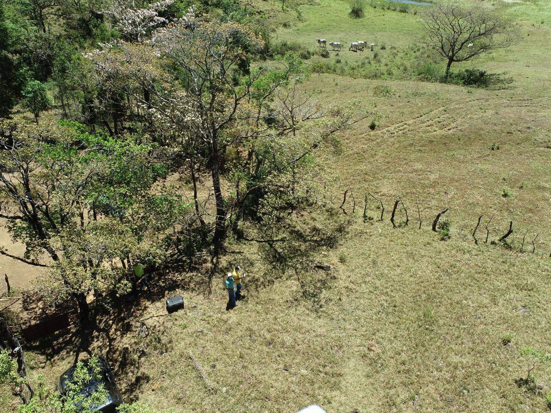 Land in Los Naranjos, Chiriquí Province, Panama 4 - 15720512