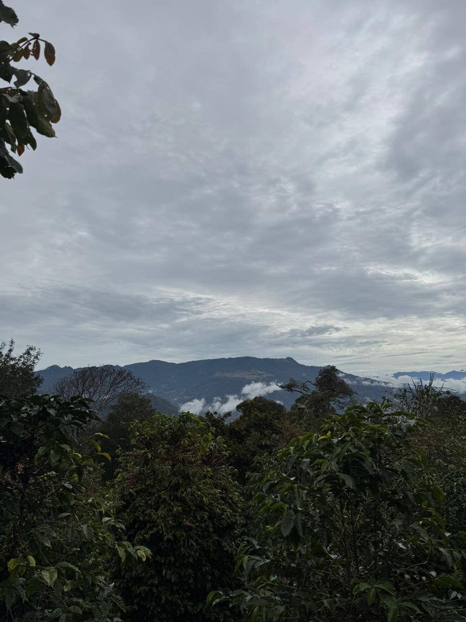 Land in Los Naranjos, Chiriquí Province, Panama 2 - 15720498