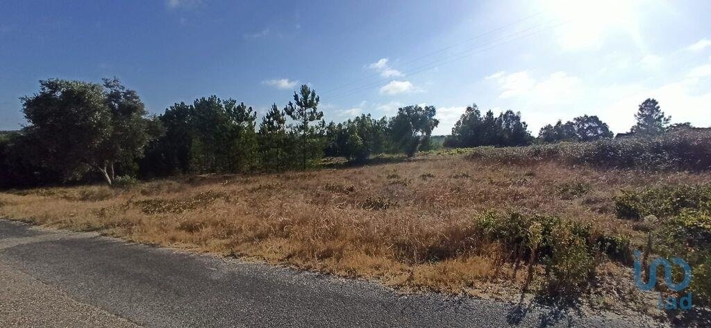 Land in Coruche, Fajarda e Erra, Santarem District, Portugal 4 - 15718024