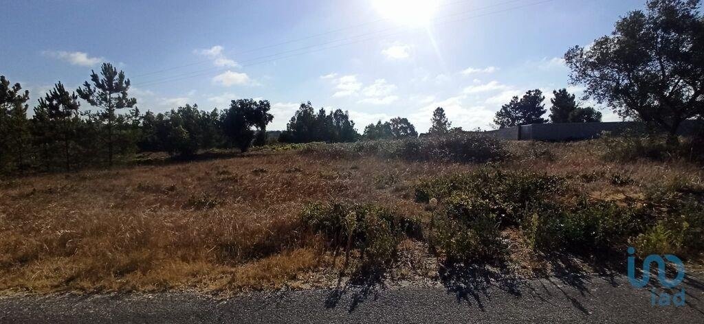 Land in Coruche, Fajarda e Erra, Santarem District, Portugal 5 - 15718024