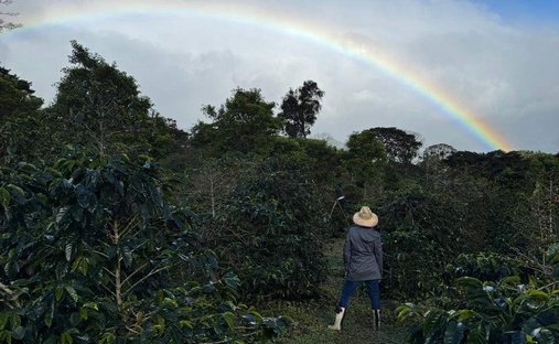 Land in Los Naranjos, Chiriquí, Panama 1
