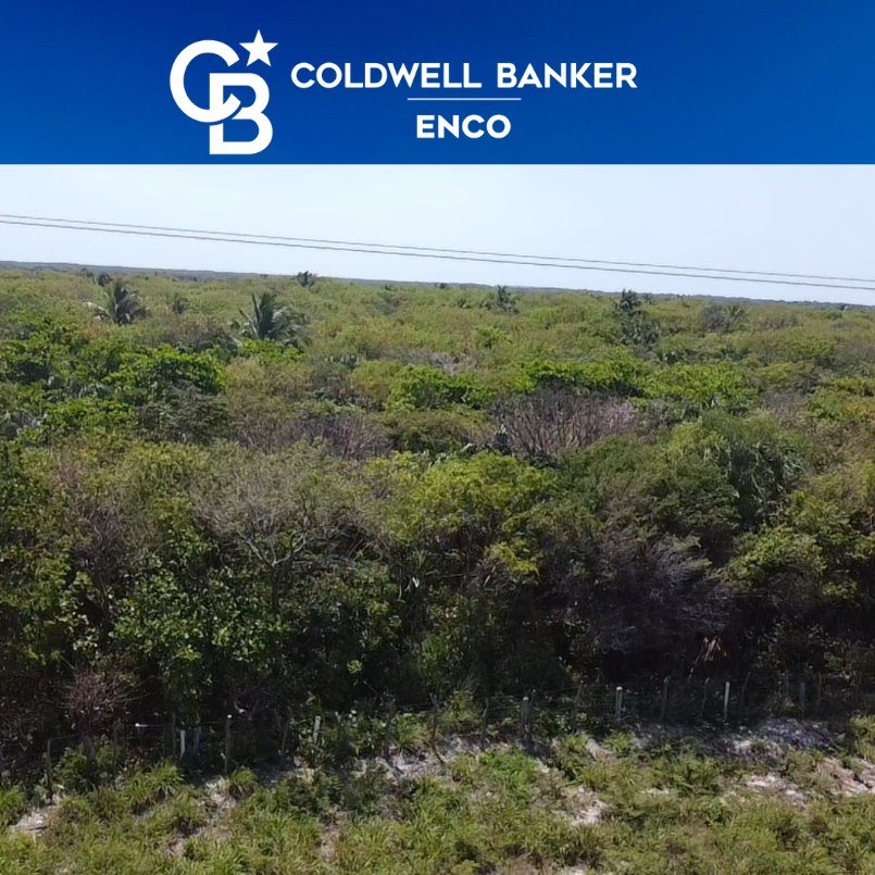 Land in Ciudad del Carmen, Campeche, Mexico 2 - 13622272