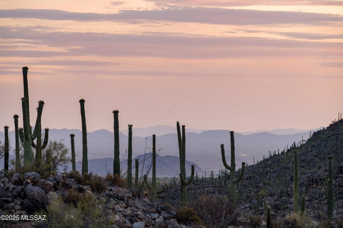 House in Marana, Arizona, United States 4 - 15720329