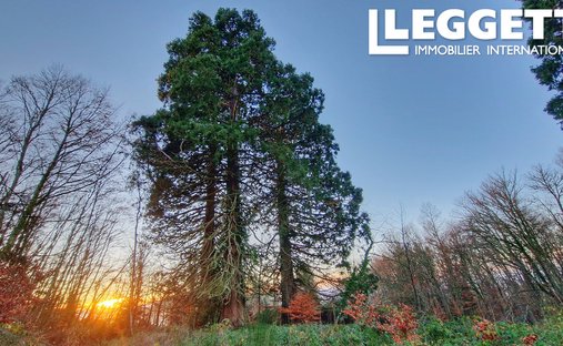 A 19th Century Manor House And Outbuildings, In Almost 3 Hectares Of Grounds, On The Edge Of